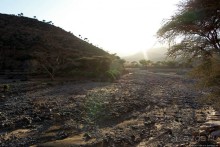 Эфиопские картинки. Регион Афар