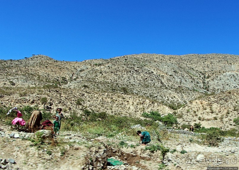 Эфиопские картинки. Регион Афар