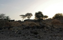 Эфиопские картинки. Регион Афар