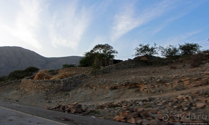 Эфиопские картинки. Регион Афар
