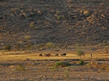 Эфиопские картинки. Регион Афар