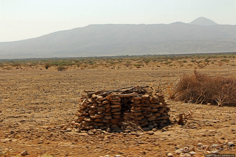 Эфиопские картинки. Регион Афар