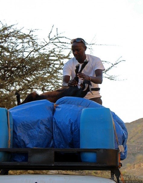 Эфиопские картинки. Регион Афар