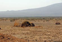 Эфиопские картинки. Регион Афар