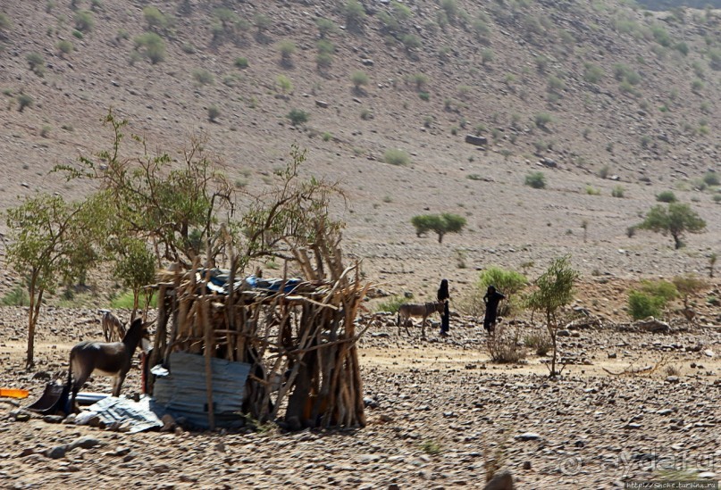 Эфиопские картинки. Регион Афар
