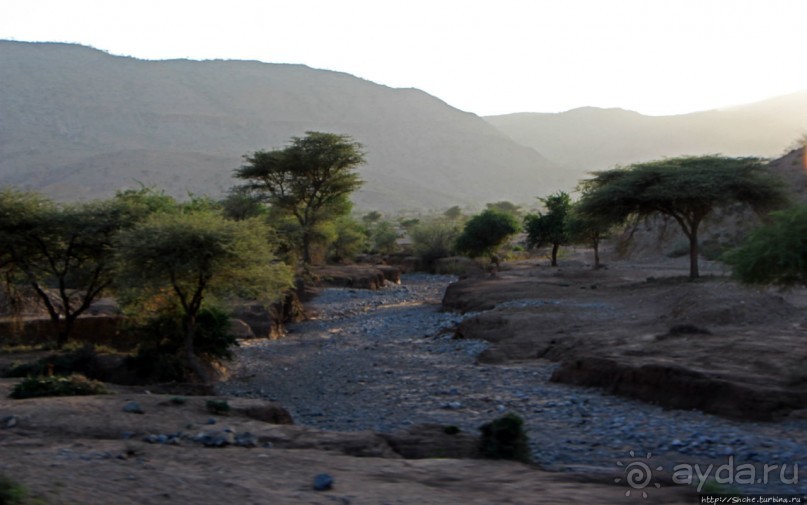 Эфиопские картинки. Регион Афар