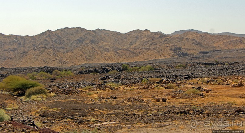 Эфиопские картинки. Регион Афар