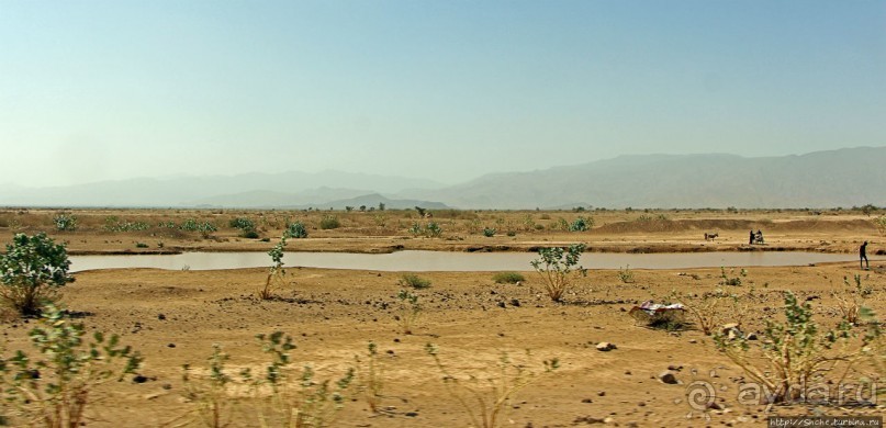 Эфиопские картинки. Регион Афар
