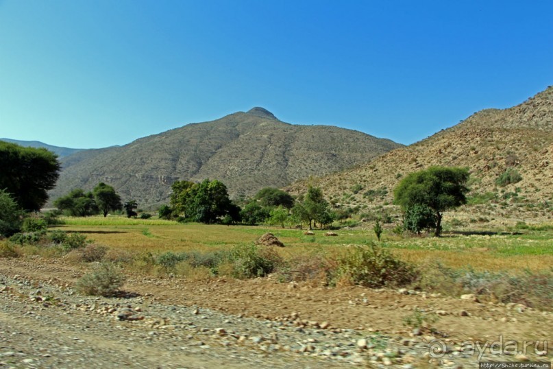 Эфиопские картинки. Регион Афар