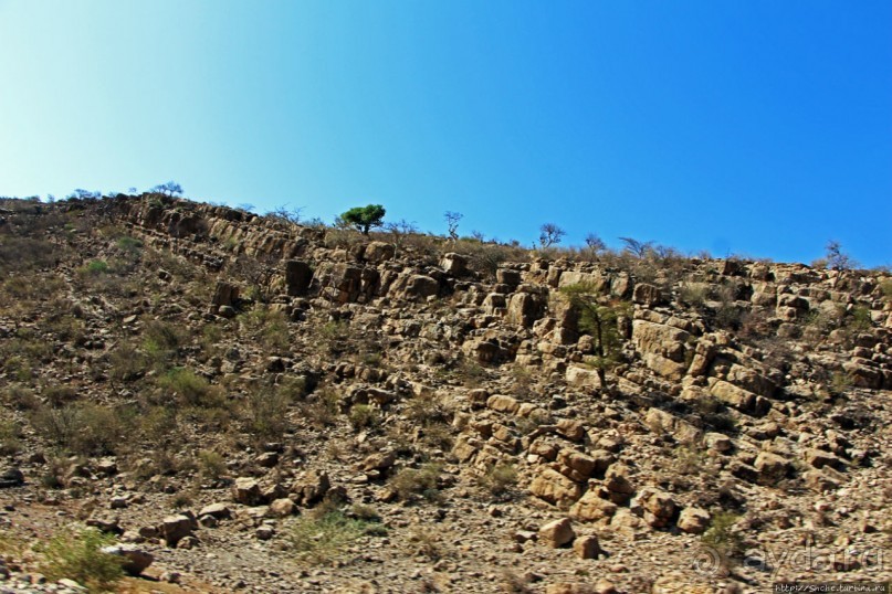 Эфиопские картинки. Регион Афар