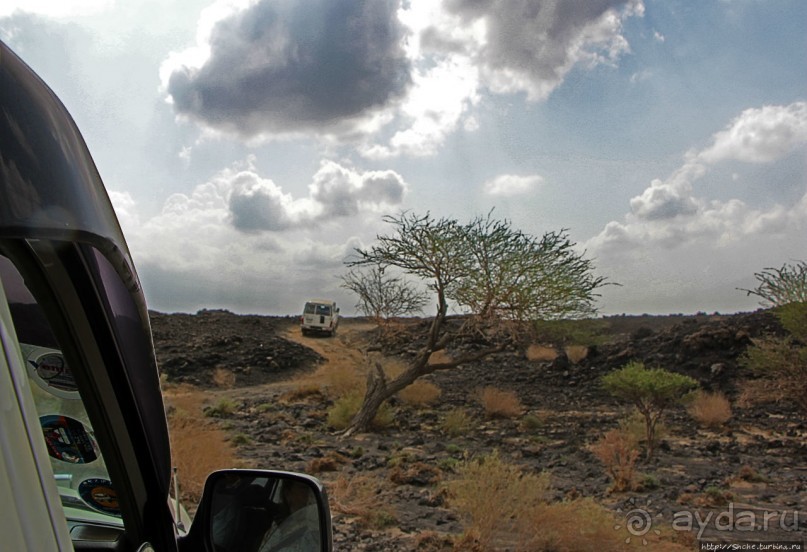 Эфиопские картинки. Регион Афар