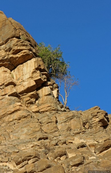 Эфиопские картинки. Регион Афар