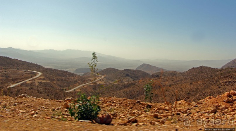 Эфиопские картинки. Регион Афар