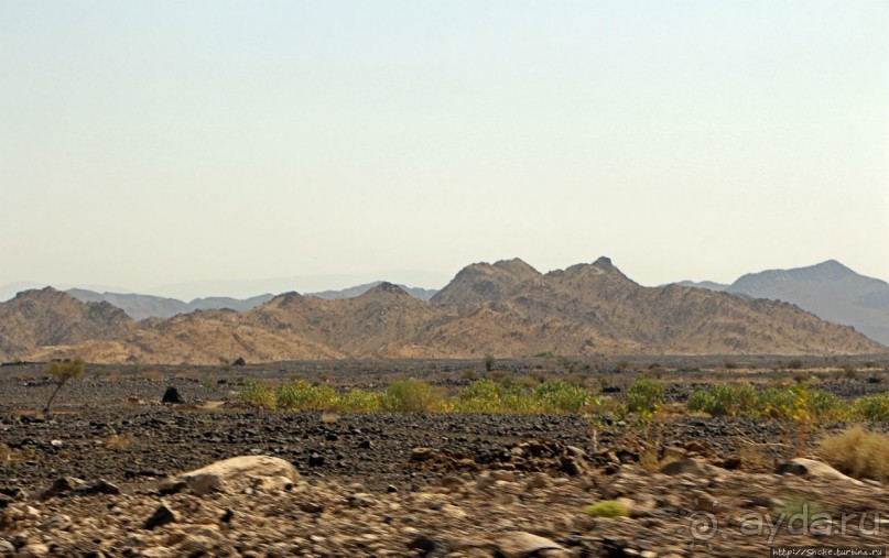 Эфиопские картинки. Регион Афар