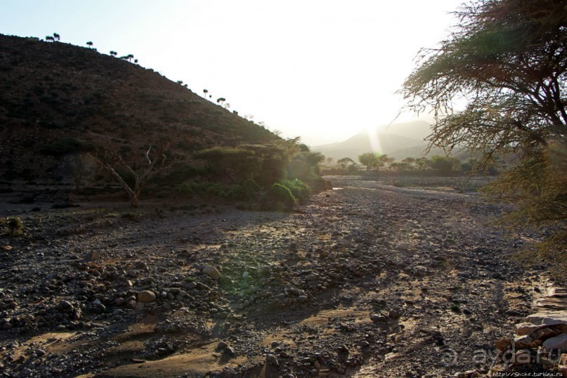 Эфиопские картинки. Регион Афар