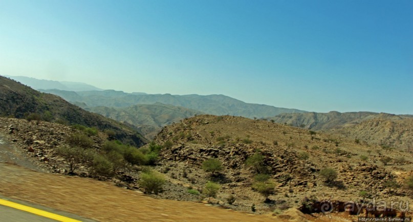 Эфиопские картинки. Регион Афар