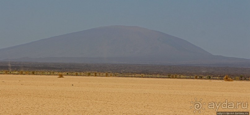 Эфиопские картинки. Регион Афар