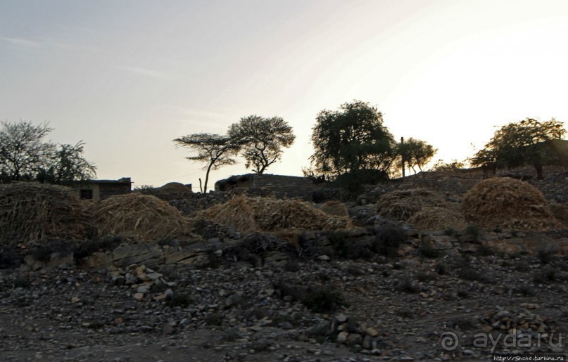 Эфиопские картинки. Регион Афар