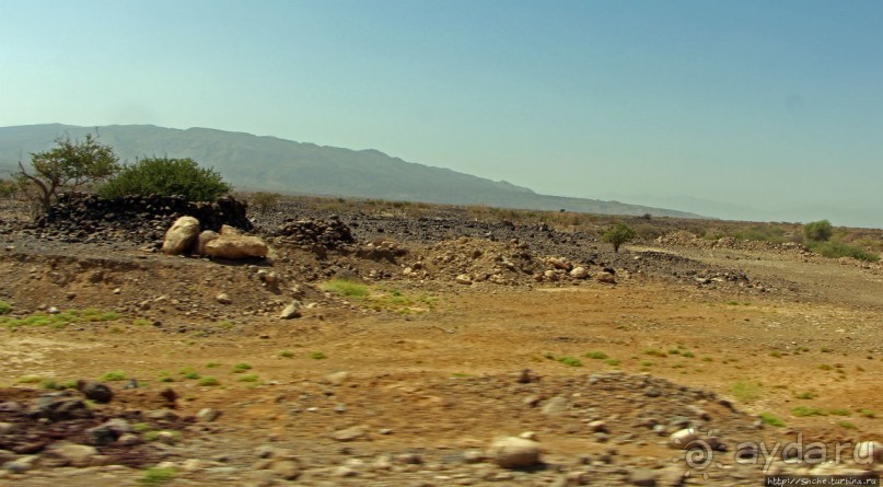 Эфиопские картинки. Регион Афар