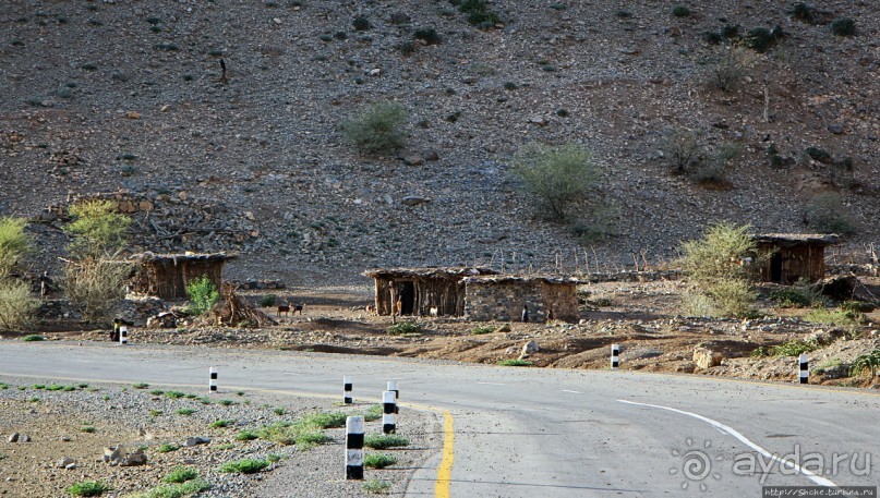 Эфиопские картинки. Регион Афар