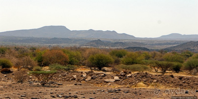 Эфиопские картинки. Регион Афар