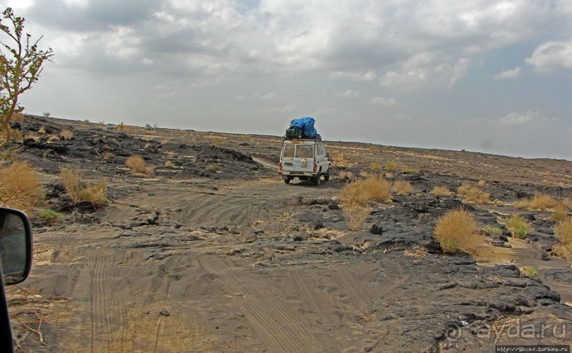 Эфиопские картинки. Регион Афар