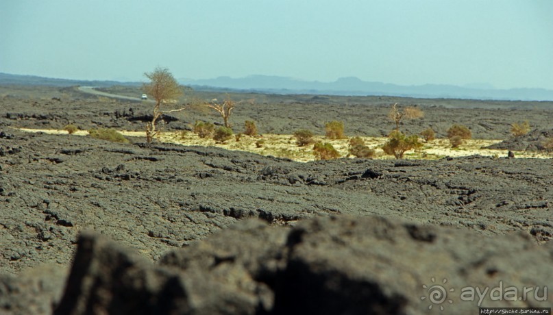 Эфиопские картинки. Регион Афар