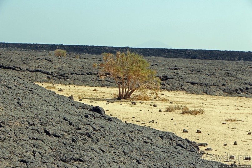 Эфиопские картинки. Регион Афар