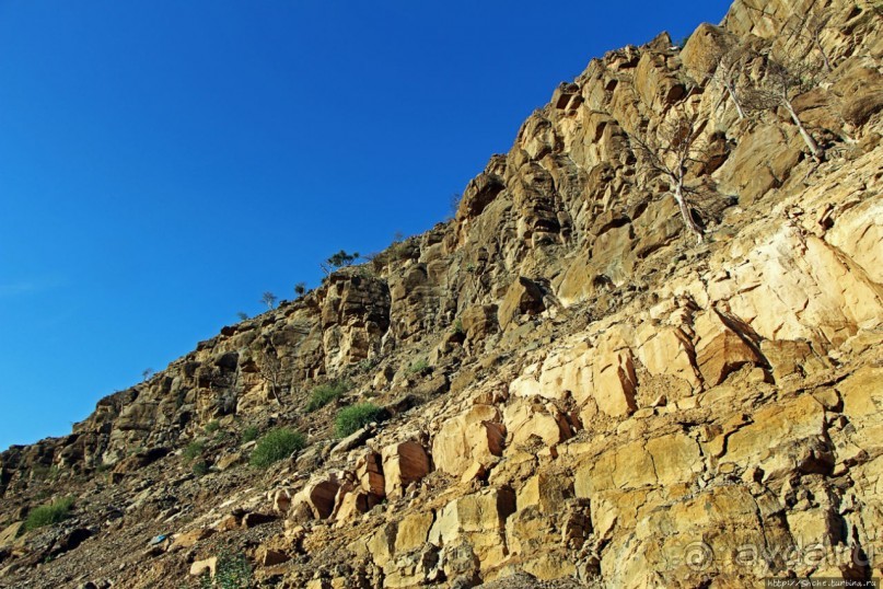 Эфиопские картинки. Регион Афар