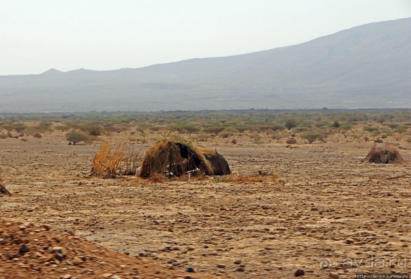 Эфиопские картинки. Регион Афар