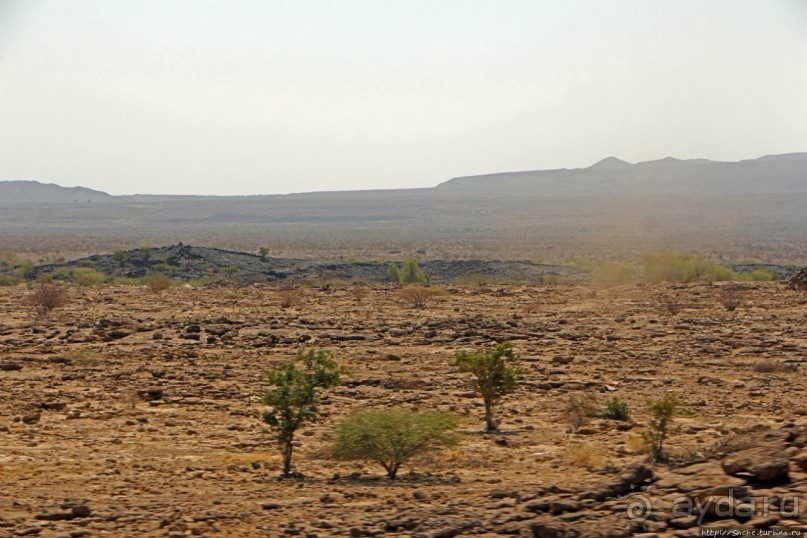 Эфиопские картинки. Регион Афар