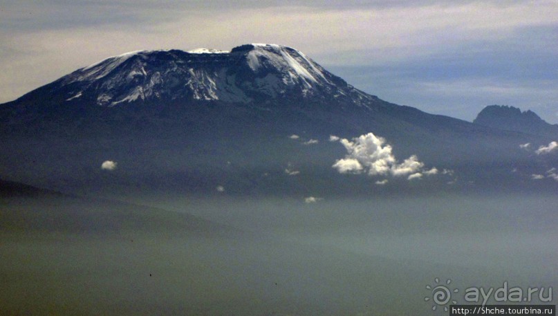 Вулкан Меру. Дождевой лес. Между 2500 и 3500 м. день 2