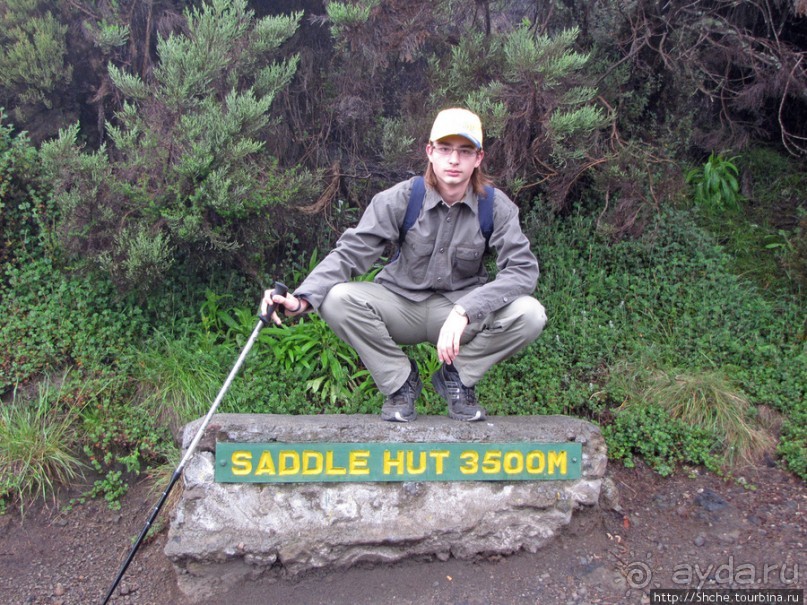 Вулкан Меру. Дождевой лес. Между 2500 и 3500 м. день 2