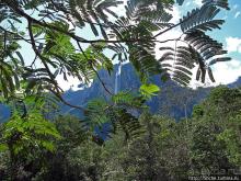 фото Венесуэлы