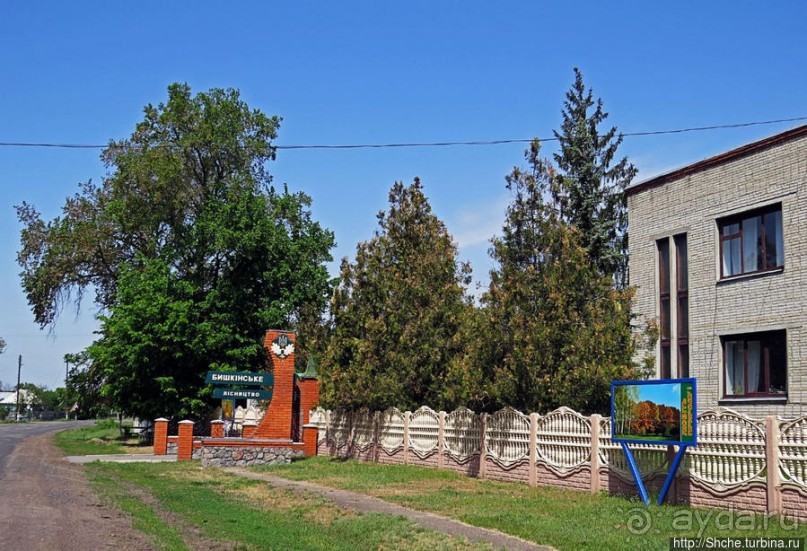 Есть лес, и есть опушка... и будет здесь избушка