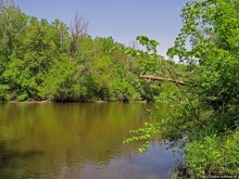 Есть лес, и есть опушка... и будет здесь избушка