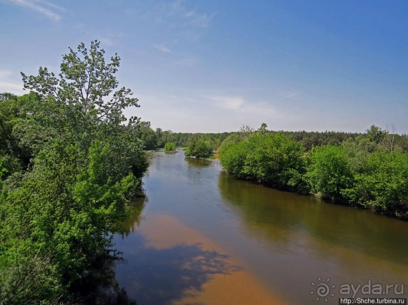 Есть лес, и есть опушка... и будет здесь избушка