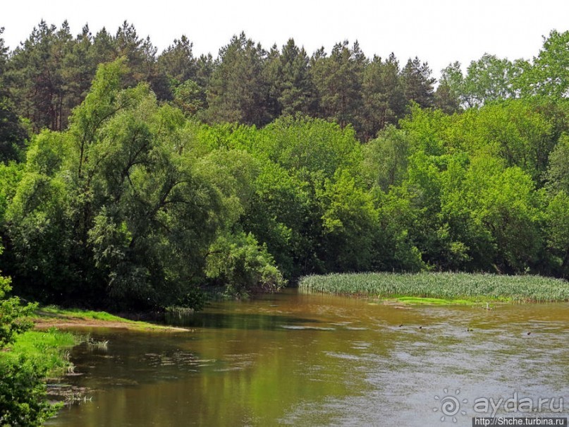 Есть лес, и есть опушка... и будет здесь избушка