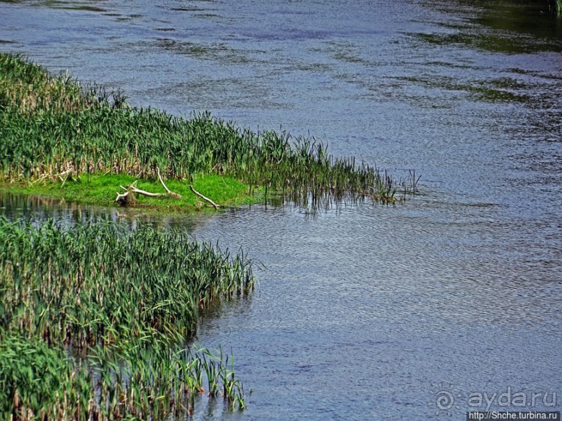 Есть лес, и есть опушка... и будет здесь избушка