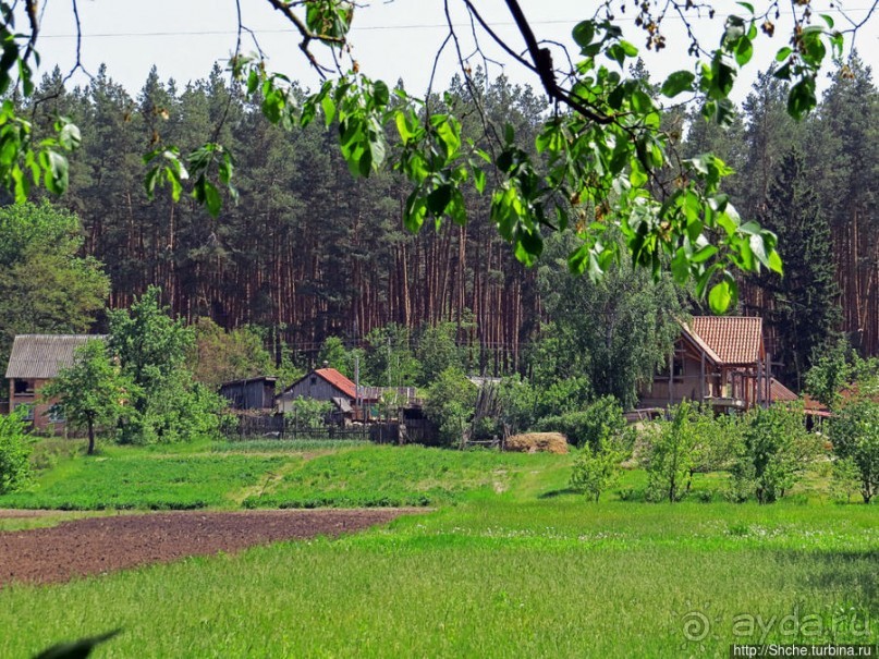 Есть лес, и есть опушка... и будет здесь избушка