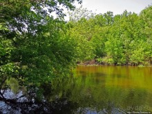 Есть лес, и есть опушка... и будет здесь избушка