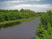 Есть лес, и есть опушка... и будет здесь избушка