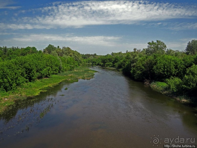 Есть лес, и есть опушка... и будет здесь избушка
