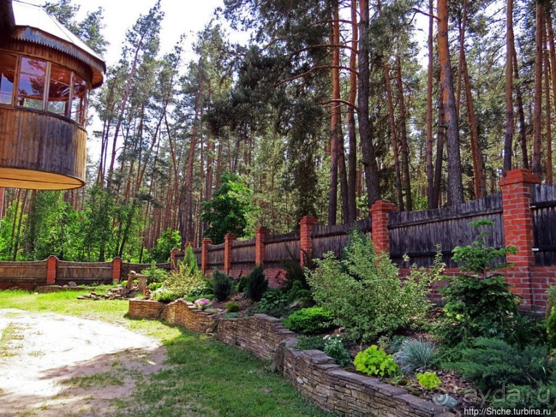 Есть лес, и есть опушка... и будет здесь избушка