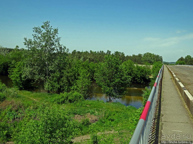 Есть лес, и есть опушка... и будет здесь избушка