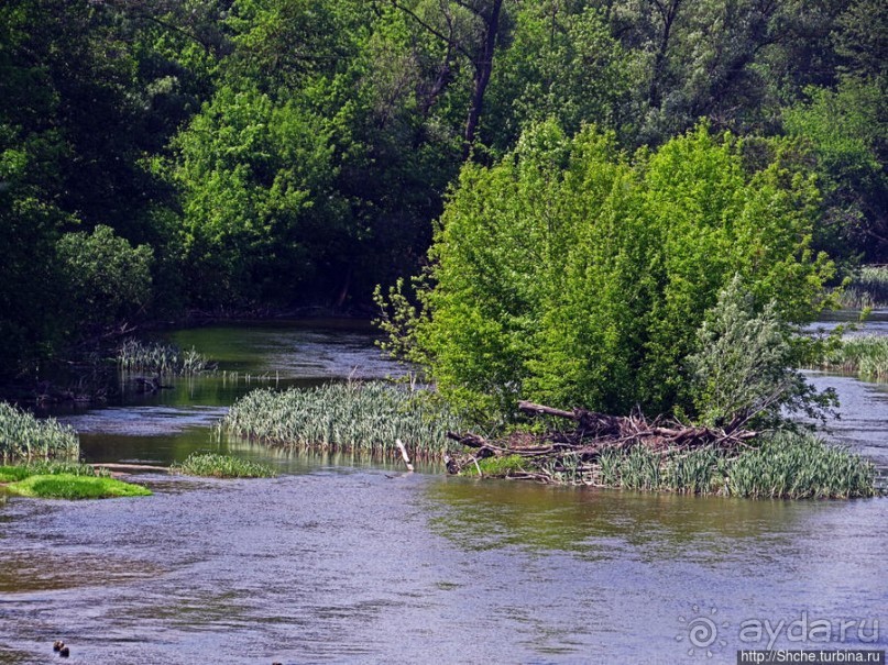Есть лес, и есть опушка... и будет здесь избушка