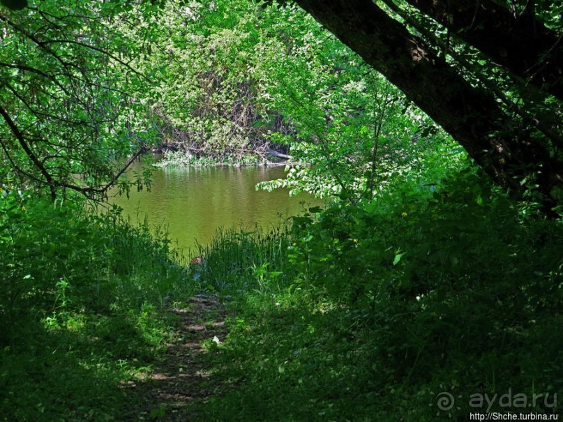 Есть лес, и есть опушка... и будет здесь избушка