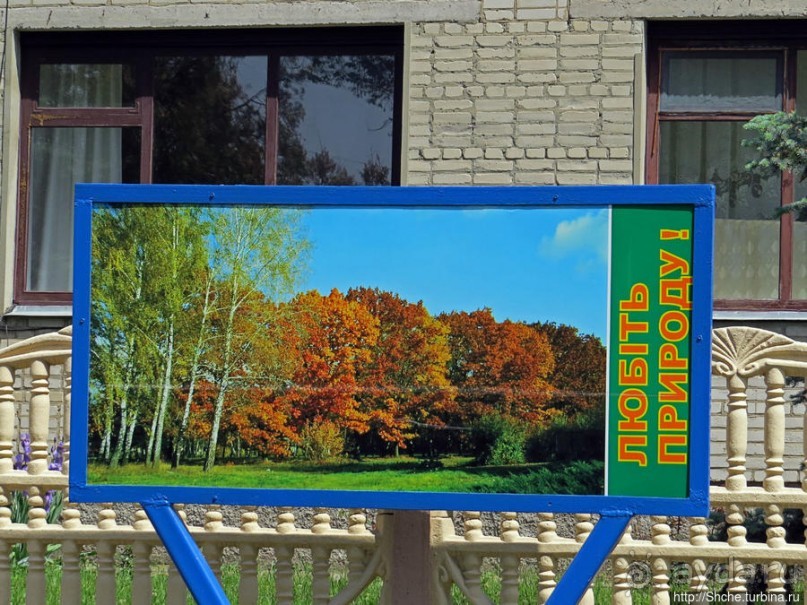 Есть лес, и есть опушка... и будет здесь избушка