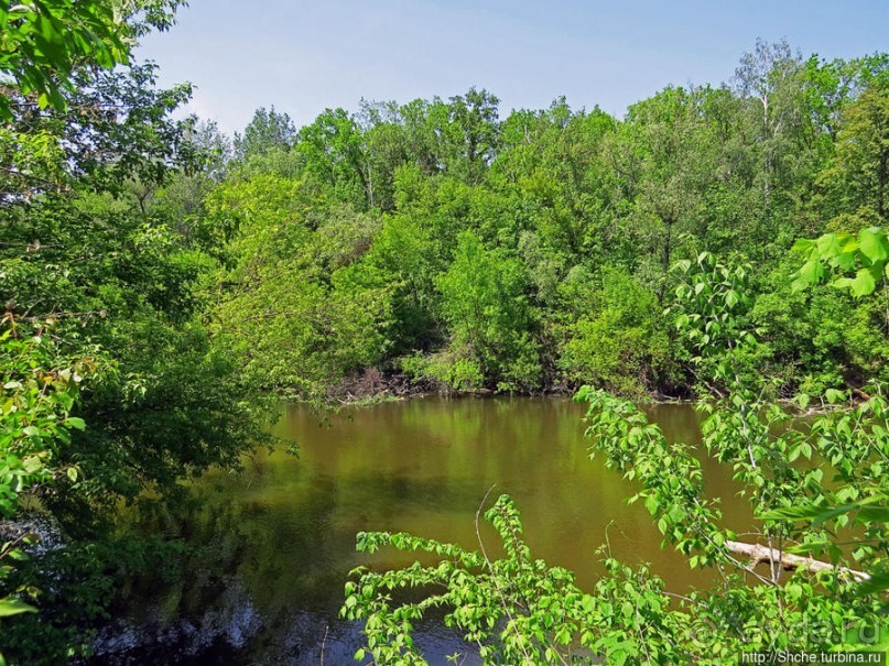Есть лес, и есть опушка... и будет здесь избушка
