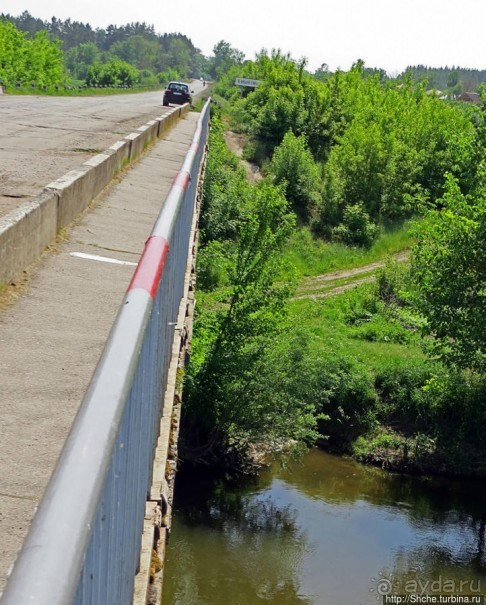 Есть лес, и есть опушка... и будет здесь избушка
